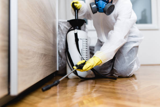 Pest Control for Restaurants in Shelby, MI