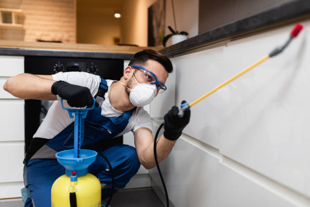 Best Wasp Removal Services  in Shelby, MI