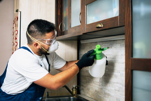Best Cockroach Control Services  in Shelby, MI