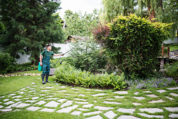 Best Best Pest Control Companies  in Shelby, MI