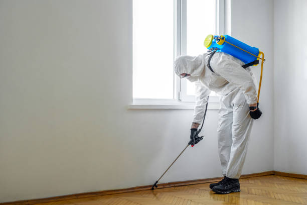 Best Flea Control Services  in Shelby, MI