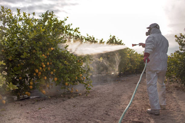 Best Commercial Pest Control Services  in Shelby, MI