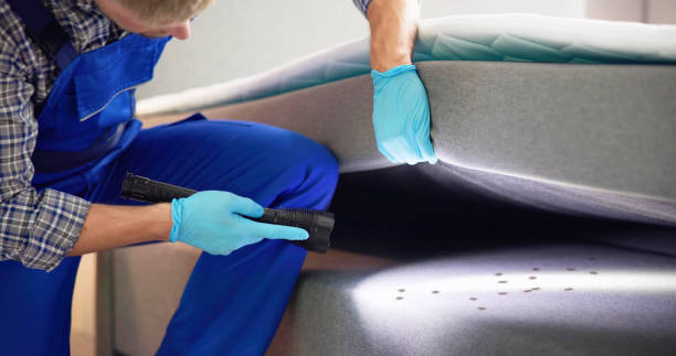 Flea Control Services in Shelby, MI
