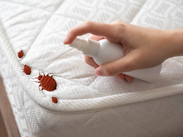  Shelby, MI Pest Control Pros