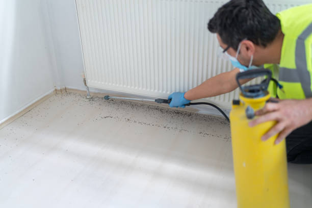Best Pest Removal Services  in Shelby, MI