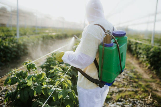 Best Pest Prevention Services  in Shelby, MI